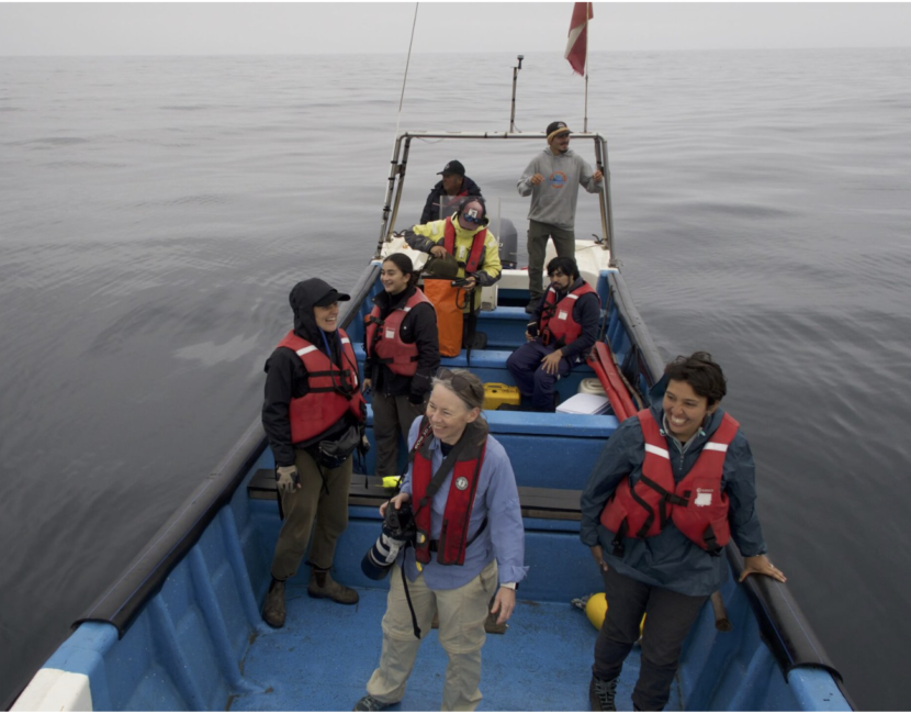 A team of researchers tags fin whales off Chile to learn how they vocalize and protect them from ship strikes. By Brianna Randall